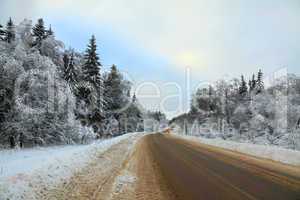 road in winter forest