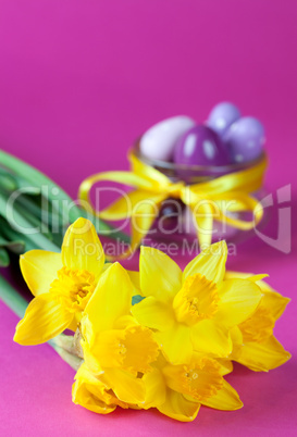 Narzissen und Eier / daffodils and eggs