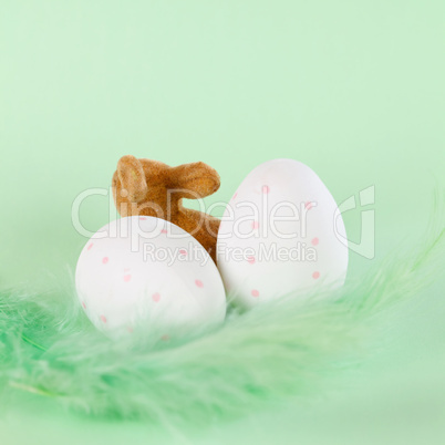Hase und Eier / easter bunny and eggs