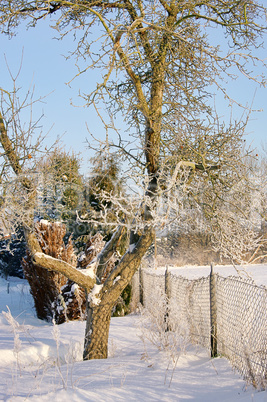 Garten im Winter - garden in winter 14