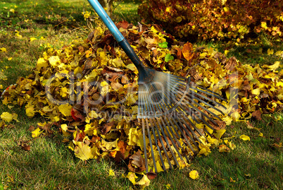 Laub harken - leaves rake 02
