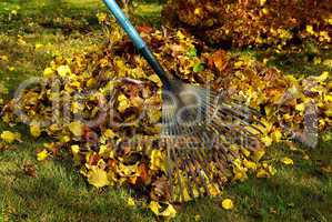 Laub harken - leaves rake 02