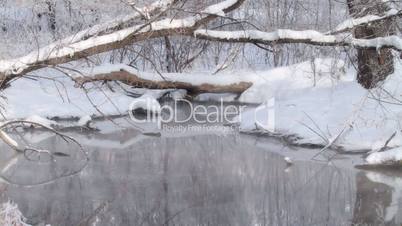 Little stream in winter forest