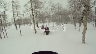 Snowmobiles through Aspen forest P HD 02