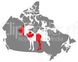Canadian moose