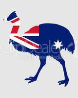 Kassowary Australia