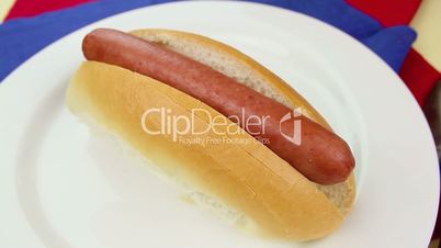 Cheese on Hot Dog
