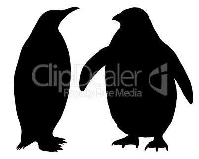 Penguin Silhouette