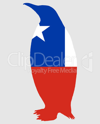 Penguin Chile