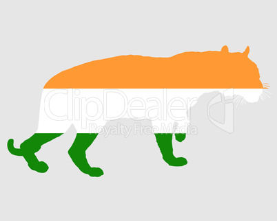India tiger