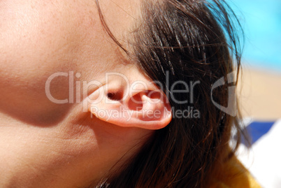 Ear closeup