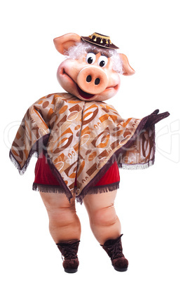 Pig mascot costume dance in poncho