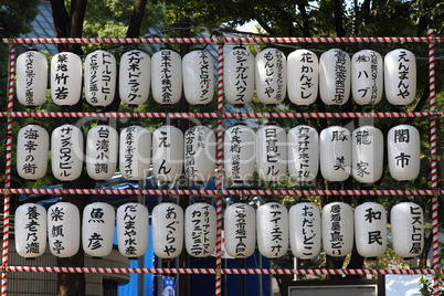 Japanese lantern