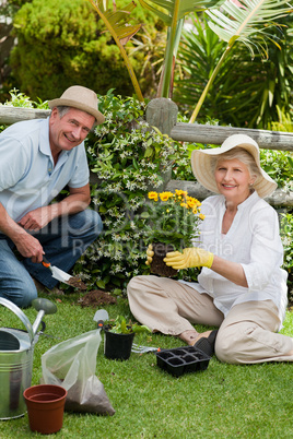 Mature couple working in the garden