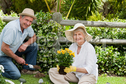 Mature couple working in the garden