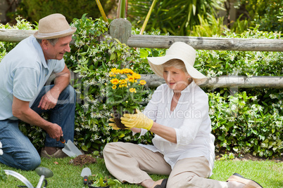 Mature couple working in the garden