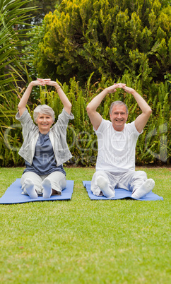 Senior couple doing their streches in the garden