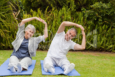 Senior couple doing their streches in the garden