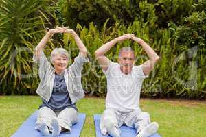 Senior couple doing their streches in the garden