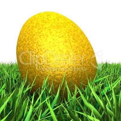 Das goldene Ei im Gras