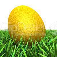 Das goldene Ei im Gras
