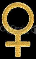 Golden female gender symbol isolated