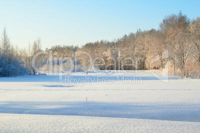 Winter Landscape And Trees