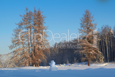 Winter Landscape And Trees
