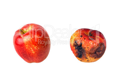 Rotten and fresh apples isolated on white