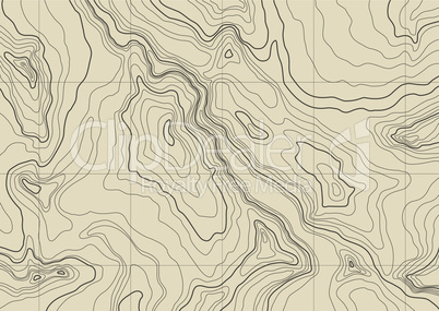 abstract topographic map