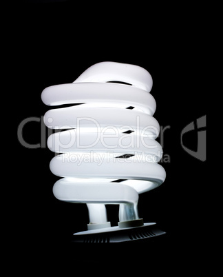 spiral fluorescent lamp isolated on black