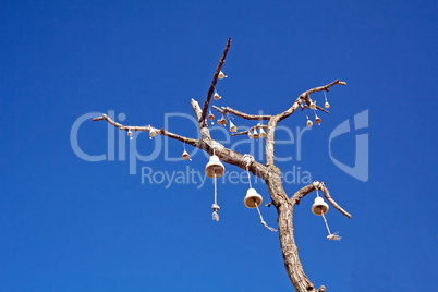 Bells on tree branch