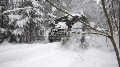 Jeep, winter wood