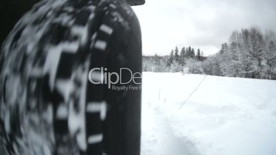 Jeep, winter wood