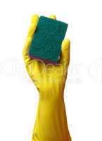 Hand in glove holding washing sponge