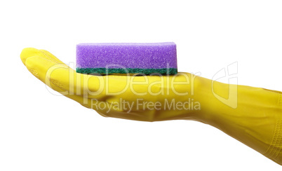 Hand in glove holding washing sponge