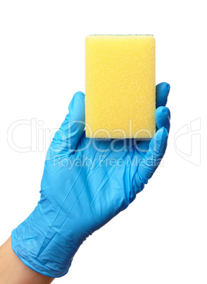 Hand in glove holding washing sponge