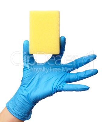 Hand in glove holding washing sponge