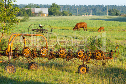 Landwirtschaft