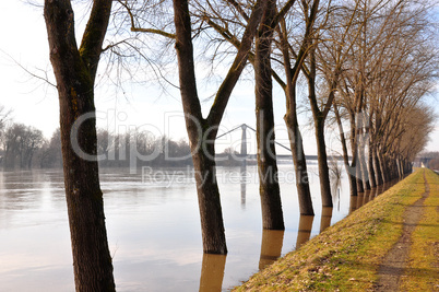 Hochwasser an der Donau bei Metten