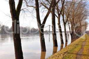 Hochwasser an der Donau bei Metten