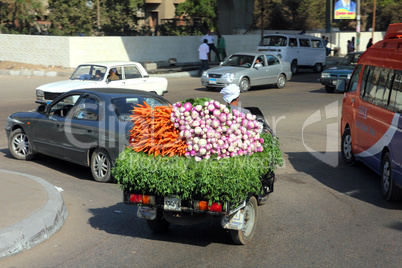 Egyptian peasant carries carrots and radishes