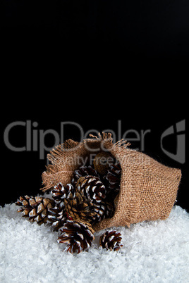 Image of the bag on the snow, spilled out of it with fir cones