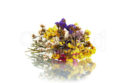 Bouquet flowers a white background