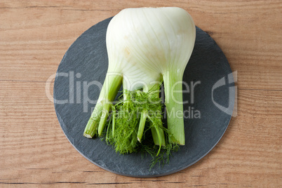 Fenchel - Fennel