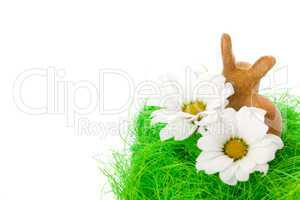 Hase und Blüten / easter bunny and blossom