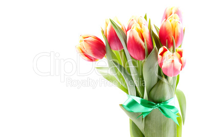 Tulpenstrauss / bouquet of tulips