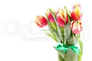 Tulpenstrauss / bouquet of tulips