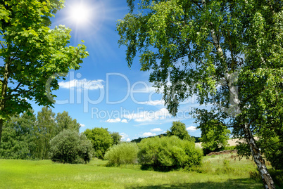 Grüne Landschaft in der Sommersonne