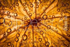 citrus close up with bubbles, abstract background